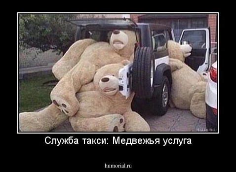 Служба такси: Медвежья услуга