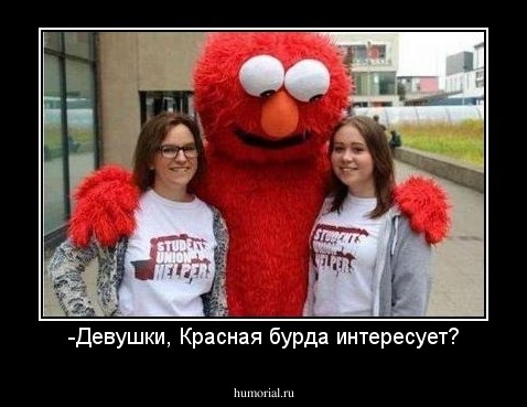 -Девушки, Красная бурда интересует?