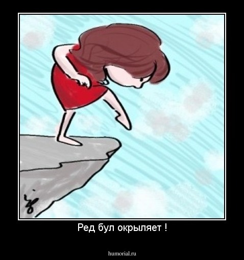 Ред бул окрыляет !