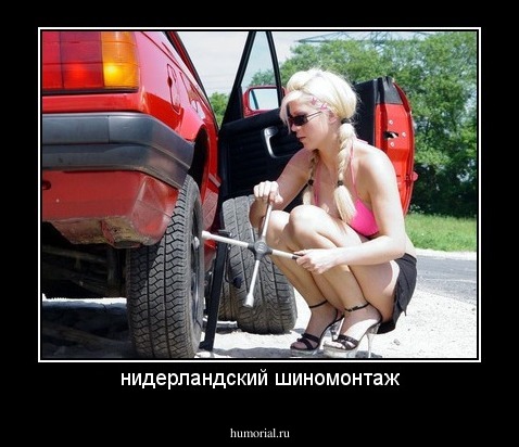 нидерландский шиномонтаж
