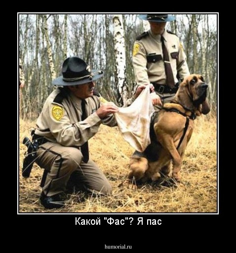 Какой "Фас"? Я пас