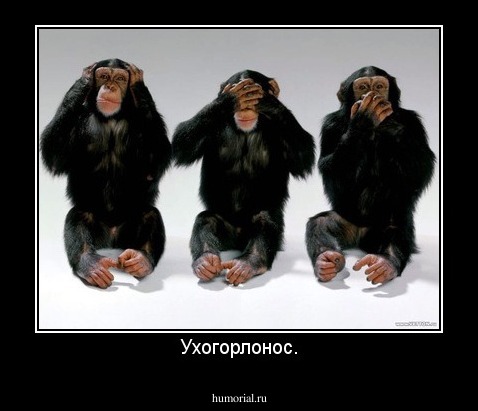 Ухогорлонос.