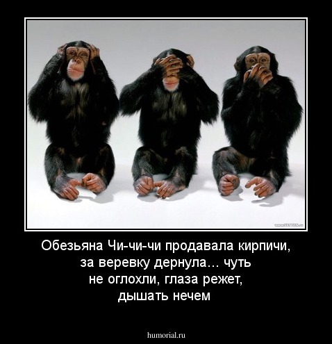 Обезьяна Чи-чи-чи продавала кирпичи, за веревку дернула...  чуть не оглохли, глаза режет, дышать нечем