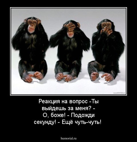 Реакция на вопрос -Ты выйдешь за меня?
- О, боже!
- Подожди секунду!
- Ещё чуть-чуть!