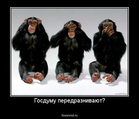 Госдуму передразнивают?