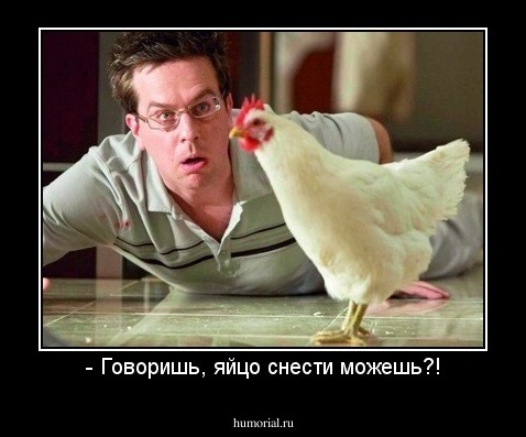 - Говоришь, яйцо снести можешь?!