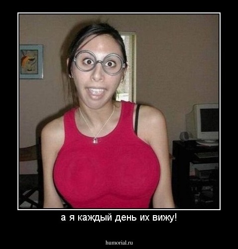 а я каждый день их вижу!