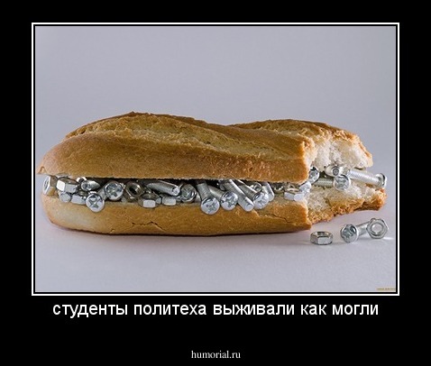 студенты политеха выживали как могли