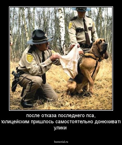 после отказа последнего пса, полицейским пришлось самостоятельно донюхивать улики