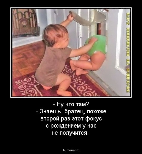  - Ну что там? - Знаешь, братец, похоже второй раз этот фокус с рождением у нас не получится.