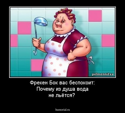 Фрекен Бок вас беспокоит: Почему из душа вода не льётся?