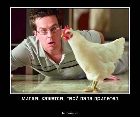 милая, кажется, твой папа прилетел