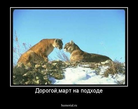 Дорогой,март на подходе