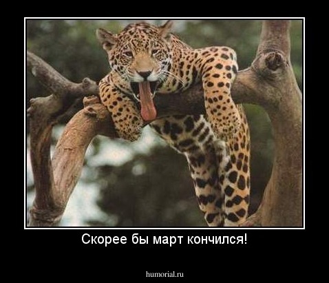 Скорее бы март кончился!