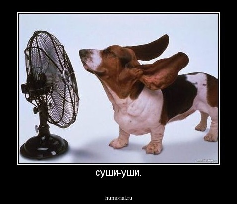 суши-уши.