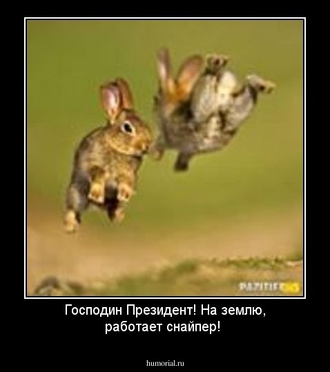 Господин Президент! На землю, работает снайпер!