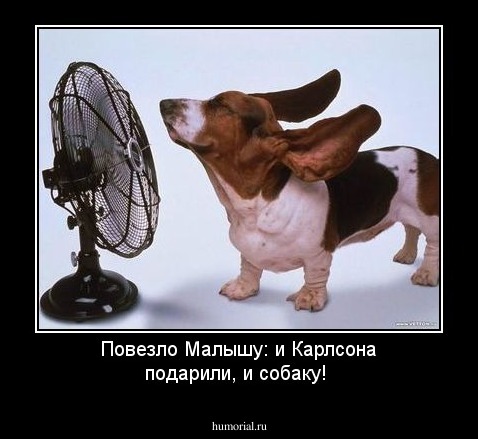 Повезло Малышу: и Карлсона подарили, и собаку!