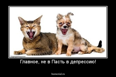 Главное, не в Пасть в депрессию!
