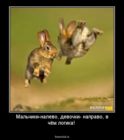 Мальчики-налево, девочки- направо, в чём логика!