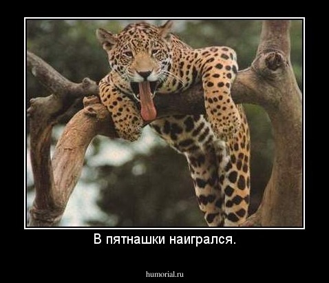 В пятнашки наигрался.