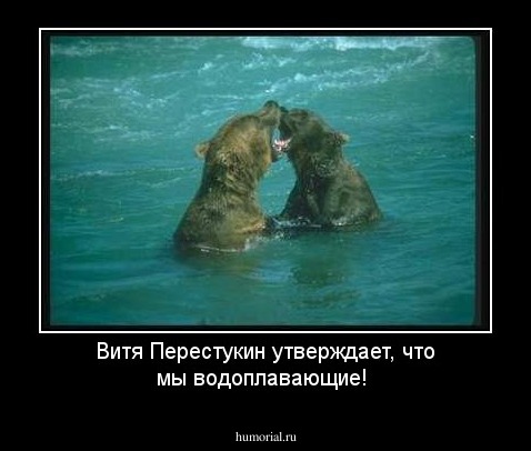 Витя Перестукин утверждает, что мы водоплавающие! 