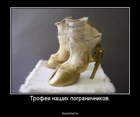Трофеи наших пограничников.