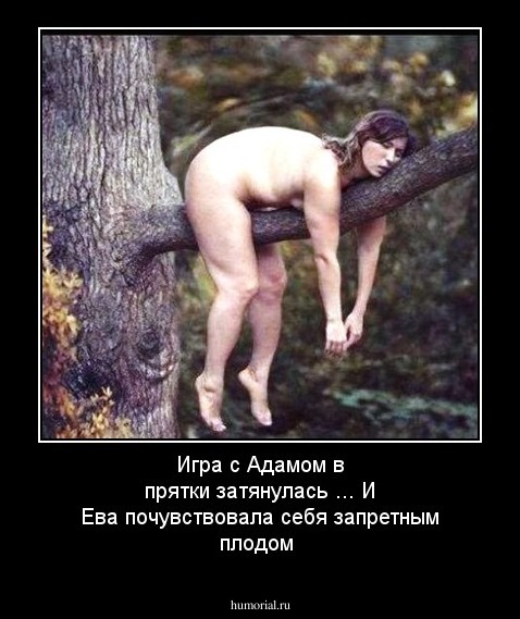 Игра с Адамом в прятки затянулась ... И Ева почувствовала себя запретным плодом 