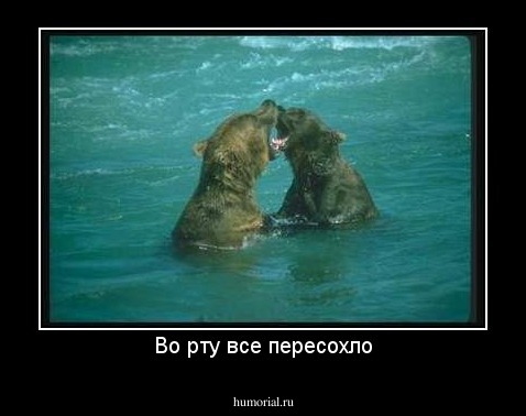 Во рту все пересохло