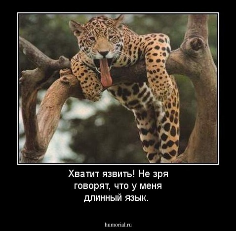 Хватит язвить! Не зря говорят, что у меня длинный язык.