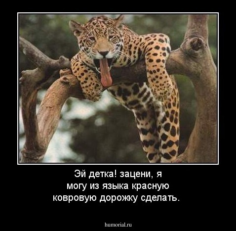 Эй детка! зацени, я могу из языка красную ковровую дорожку сделать.