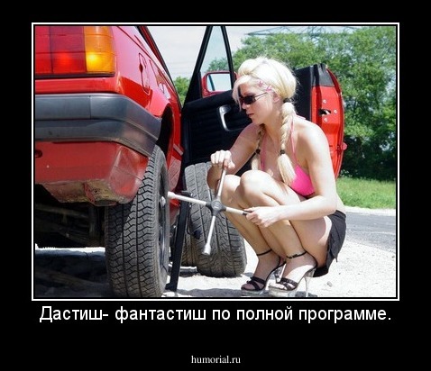 Дастиш- фантастиш по полной программе.