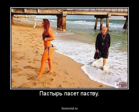 Пастырь пасет паству.