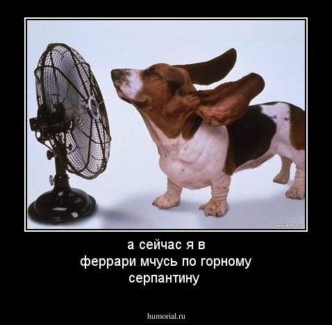 а сейчас я в феррари мчусь  по горному серпантину