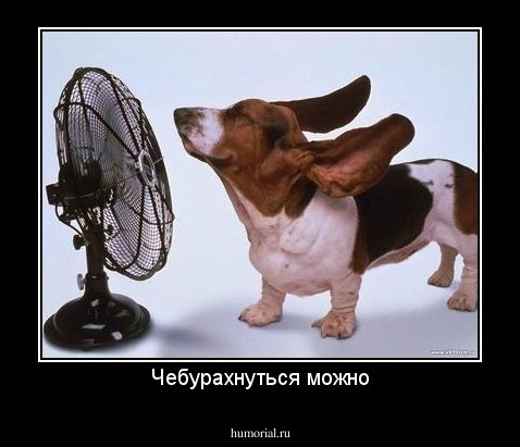 Чебурахнуться можно