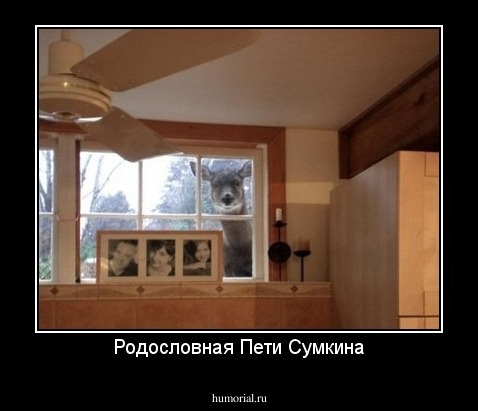 Родословная Пети Сумкина