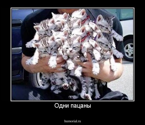 Одни пацаны