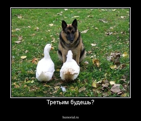 Третьим будешь?