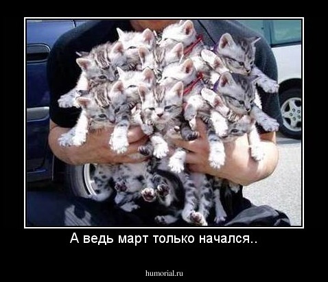 А ведь март только начался..