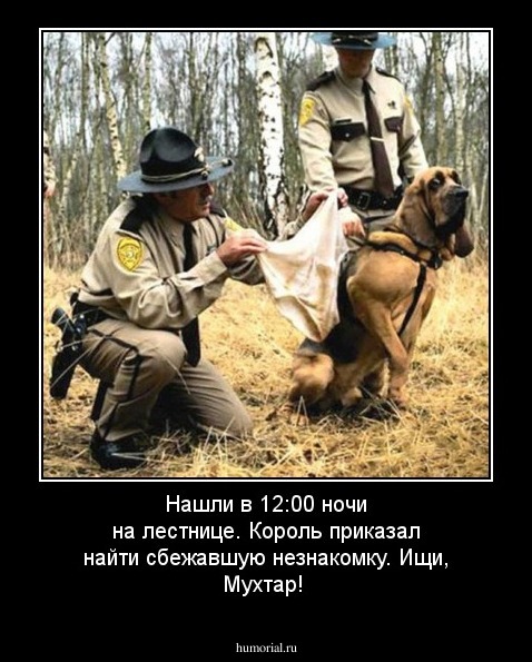 Нашли в 12:00 ночи на лестнице. Король приказал найти сбежавшую незнакомку. Ищи, Мухтар!