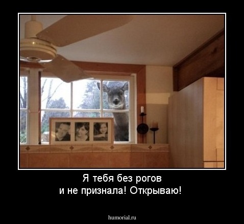 Я тебя без рогов и не признала! Открываю!