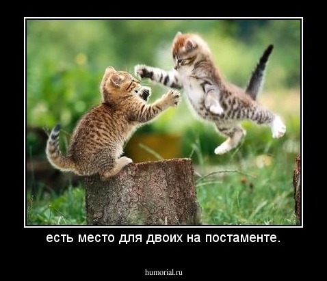есть место для двоих на постаменте.