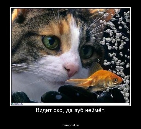 Видит око, да зуб неймёт.