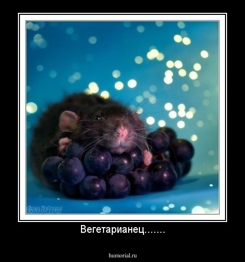 Вегетарианец.......