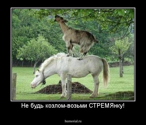 Не будь козлом-возьми СТРЕМЯнку!