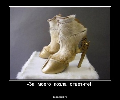 -За  моего  козла  ответите!!