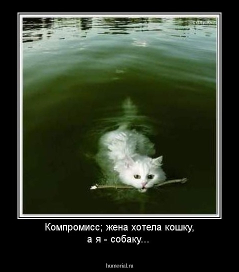 Компромисс;  жена хотела кошку, а я - собаку...