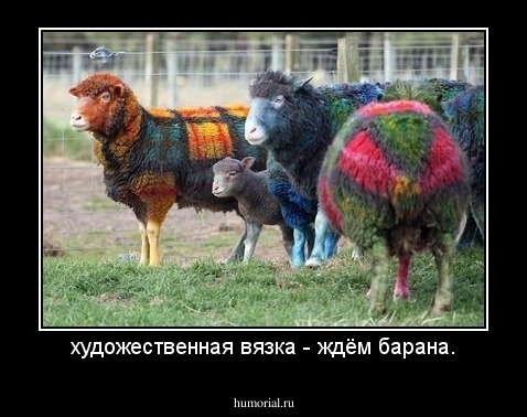художественная вязка - ждём барана.