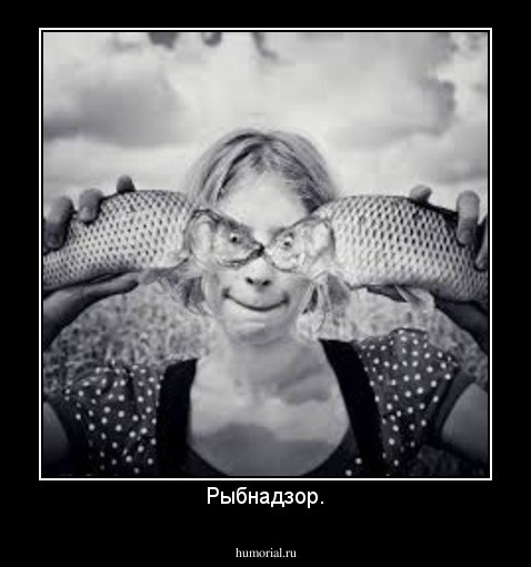 Рыбнадзор.