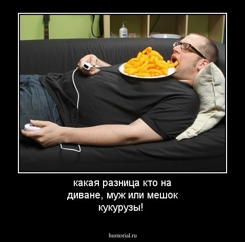 какая разница кто на диване, муж или мешок кукурузы!