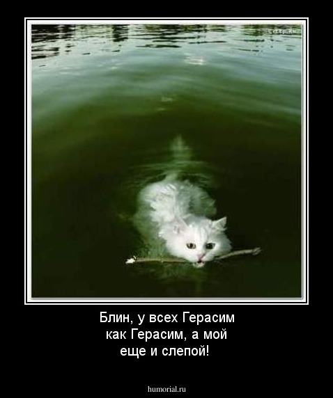 Блин, у всех Герасим как Герасим, а мой еще и слепой!